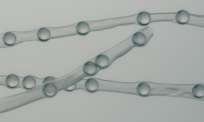 Understanding the Science of Cellular Hydration for Your Skin